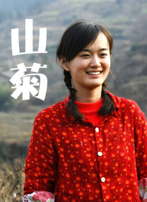 2026-02-20 截至发稿，2026年度总票房突破50亿，2026年春节档总票房突破31亿，《镖人：风起大漠》上映第三天单日票房超越《熊出没·年年有熊》位列第三，累计票房超3.4亿。